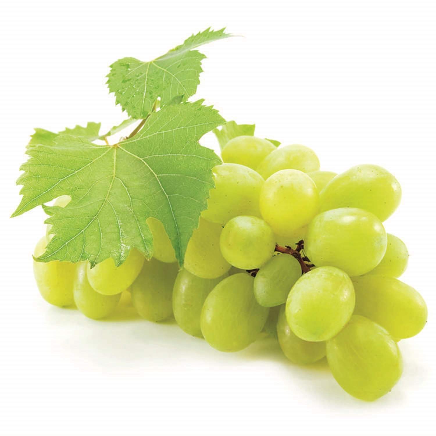 Grožđe