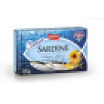 Sardine