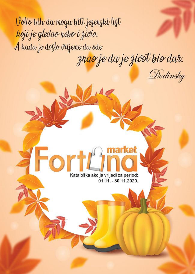 Fortuna marketi: Akcijski katalog od 01. do 30.11.2020.