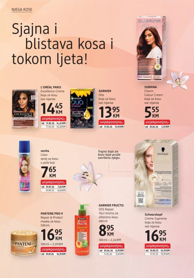 DM: Katalog