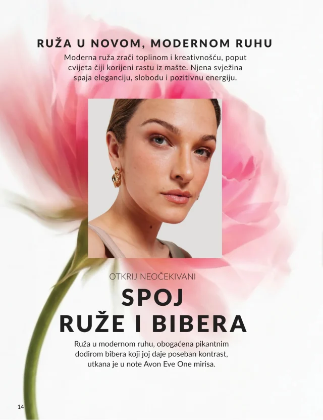 Avon: Katalog