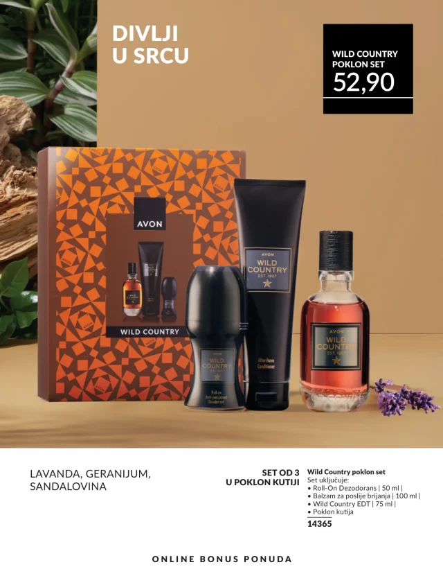 Avon: Katalog