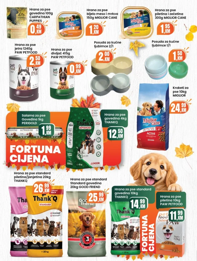 Fortuna marketi: Katalog