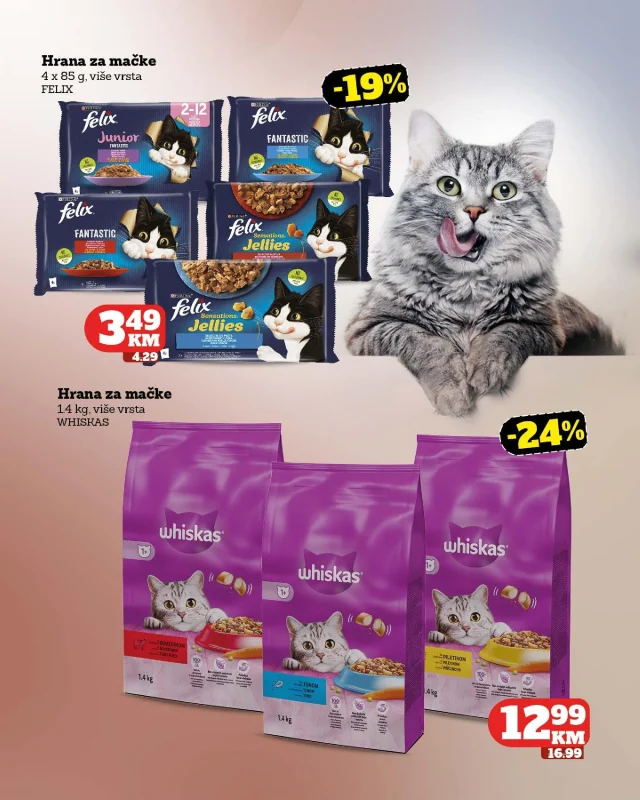 Moj Market: Katalog